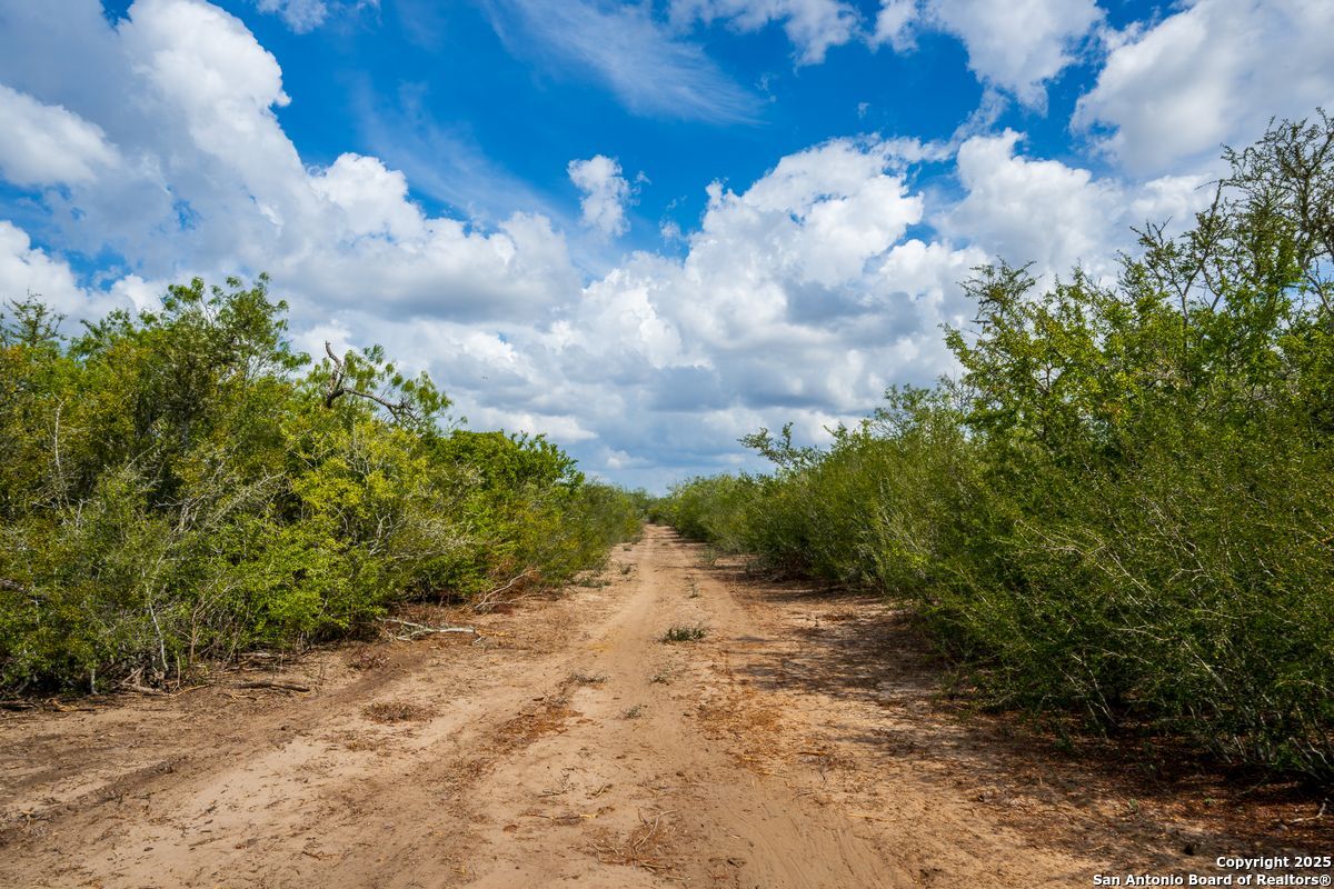 947 County Road 302