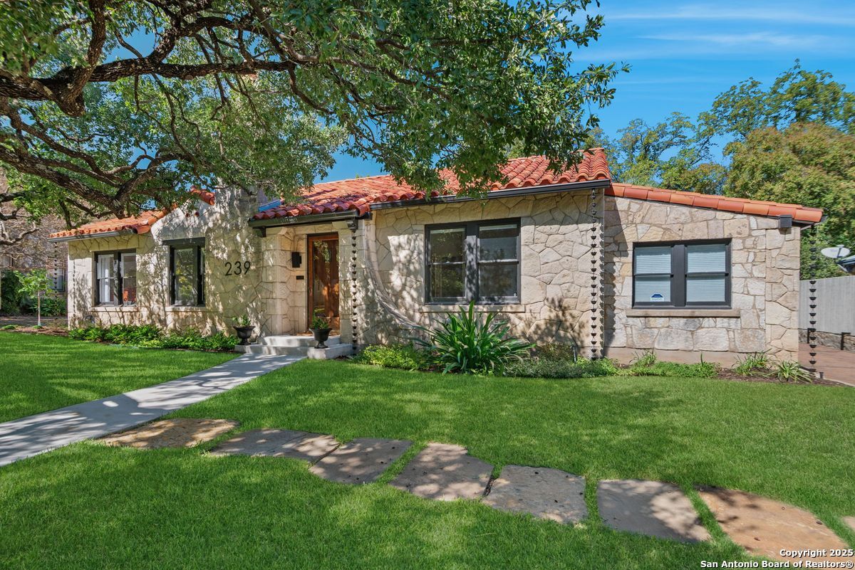 239 Belvidere