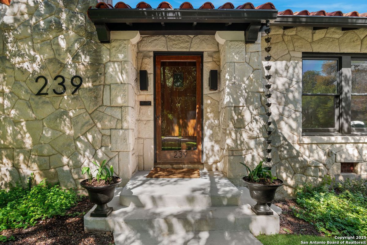 239 Belvidere