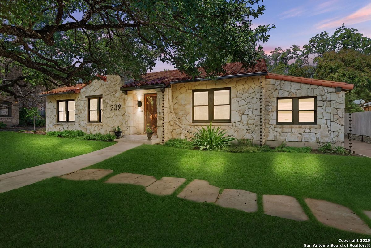 239 Belvidere