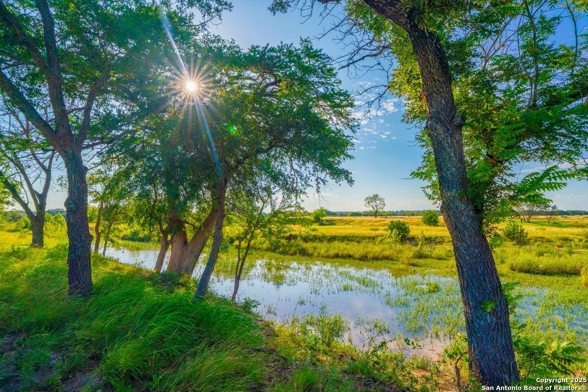 112 Majestic Oaks Drive