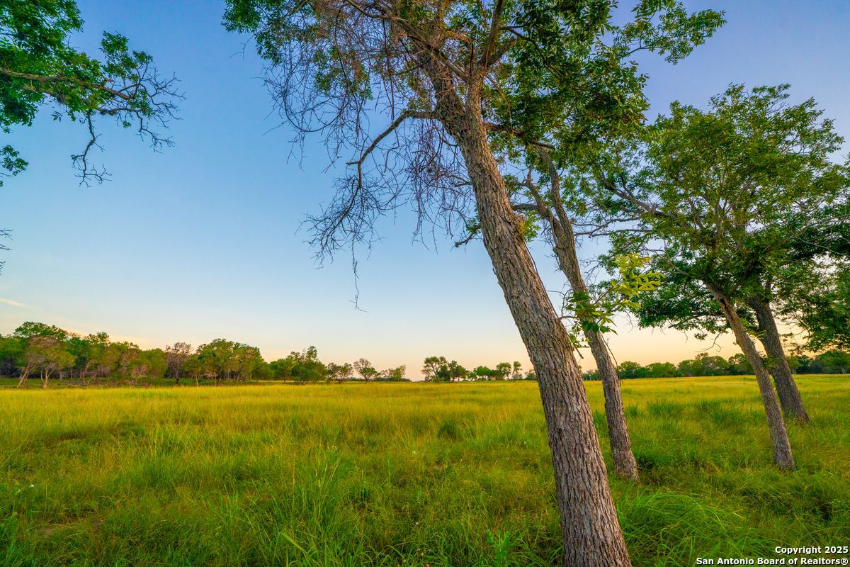 112 Majestic Oaks Drive