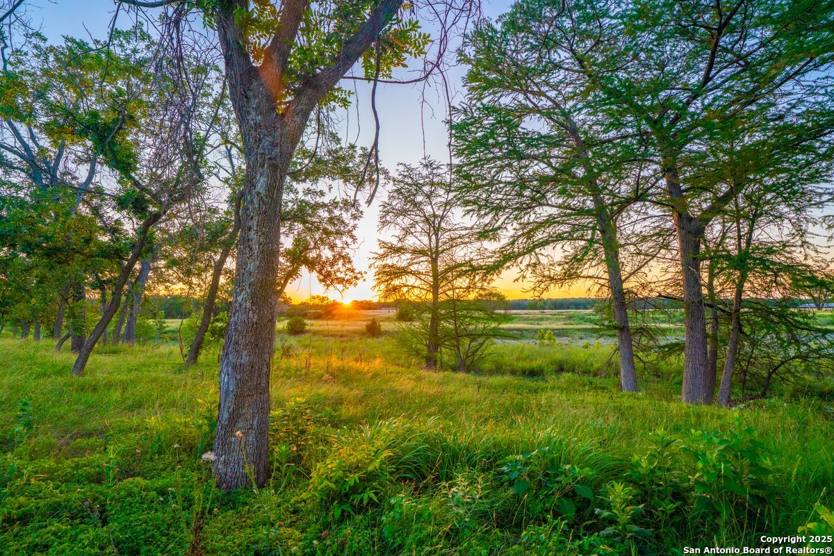 112 Majestic Oaks Drive