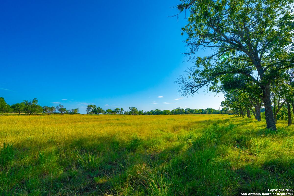 112 Majestic Oaks Drive