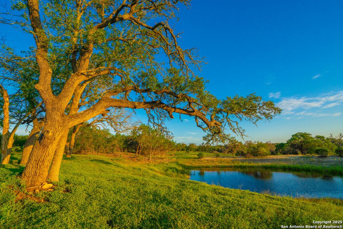 112 Majestic Oaks Drive