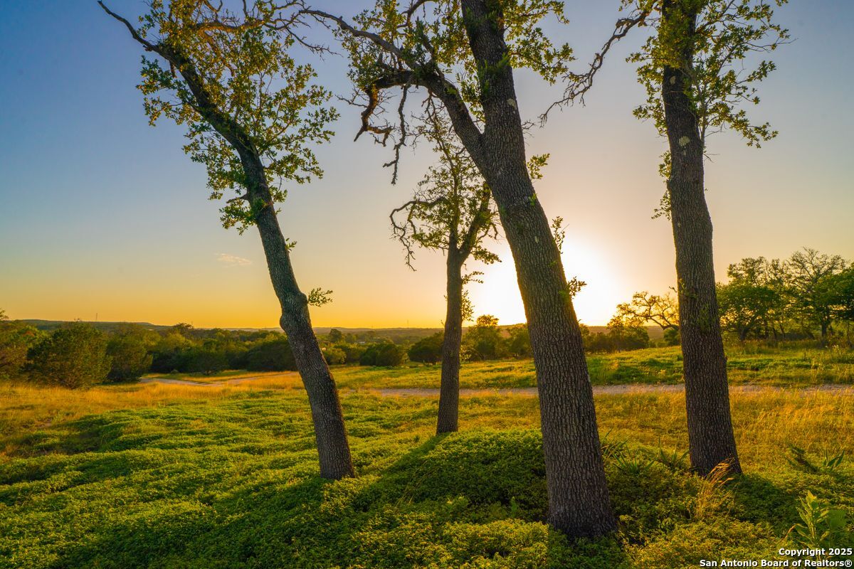 112 Majestic Oaks Drive