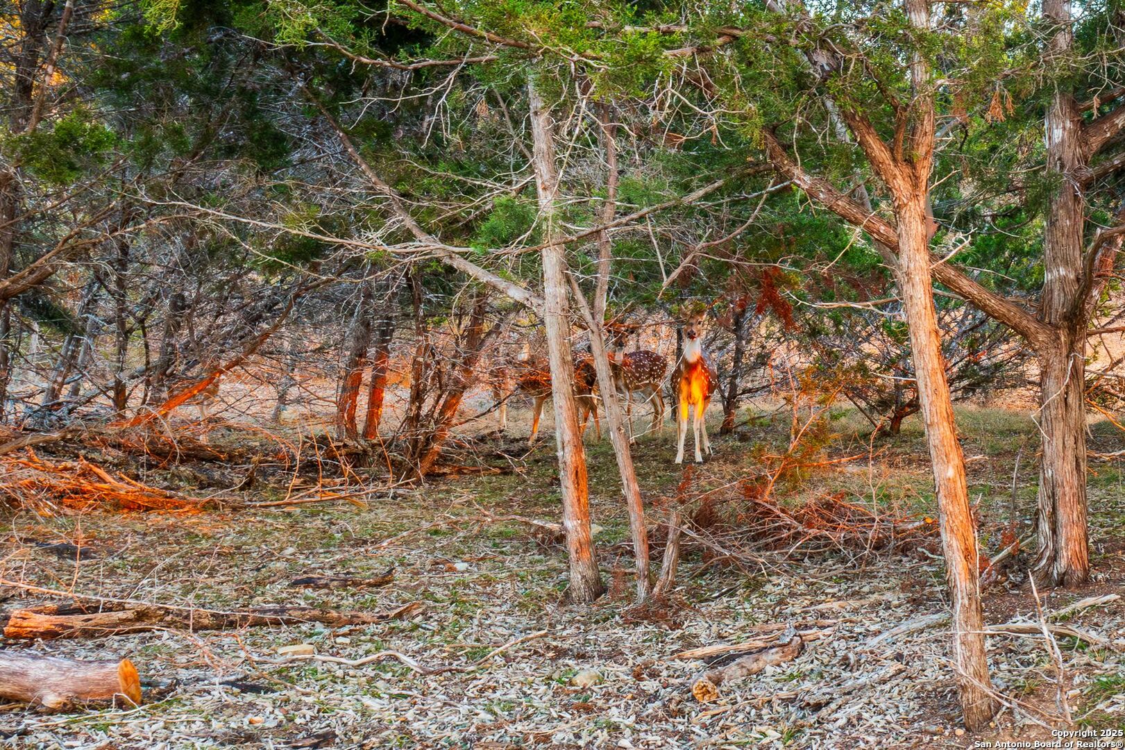 327 Waring Welfare Road