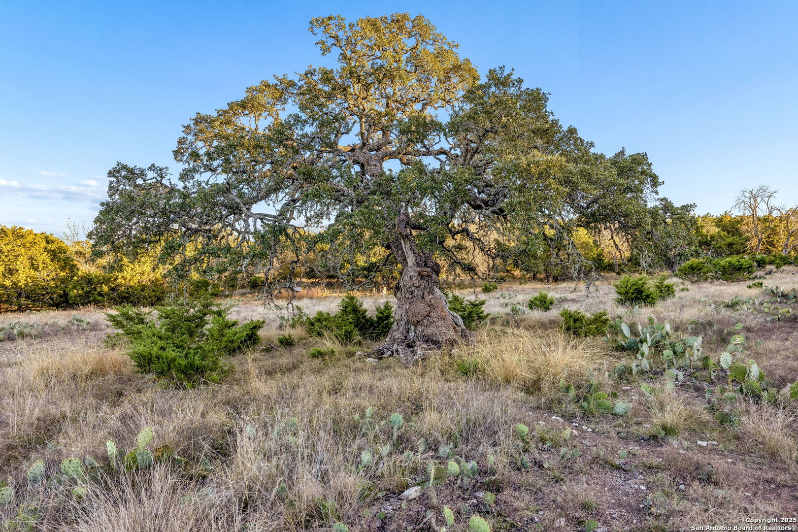 1106 Perry Ranch