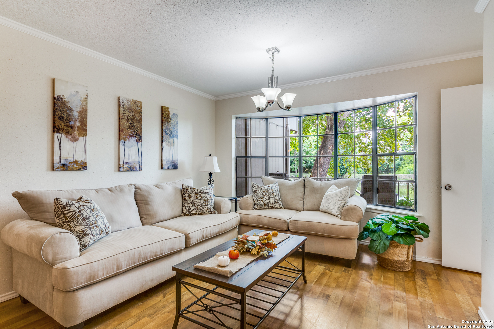 7711 Callaghan APT 905