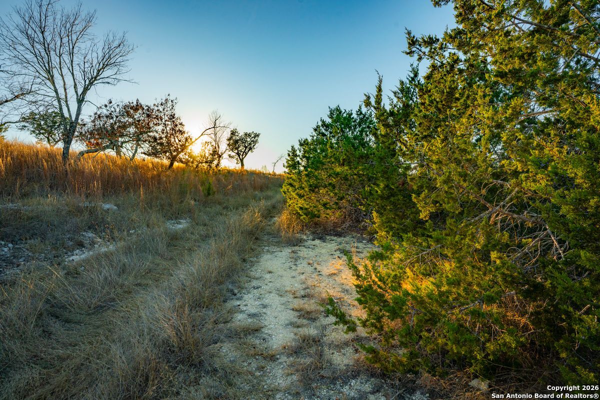 TBD Cypress Creek Road