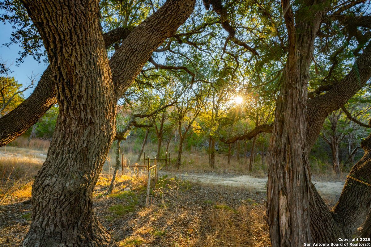 TBD Cypress Creek Road