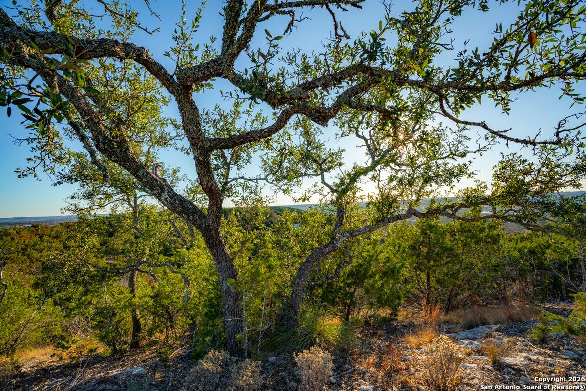 TBD Cypress Creek Road