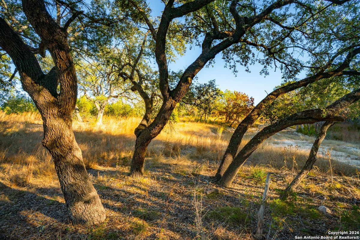 TBD Cypress Creek Road