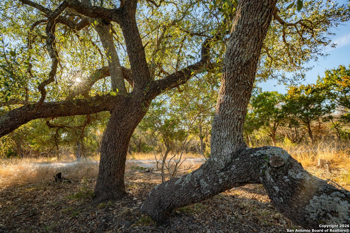 TBD Floyd Van Hoozer Road West