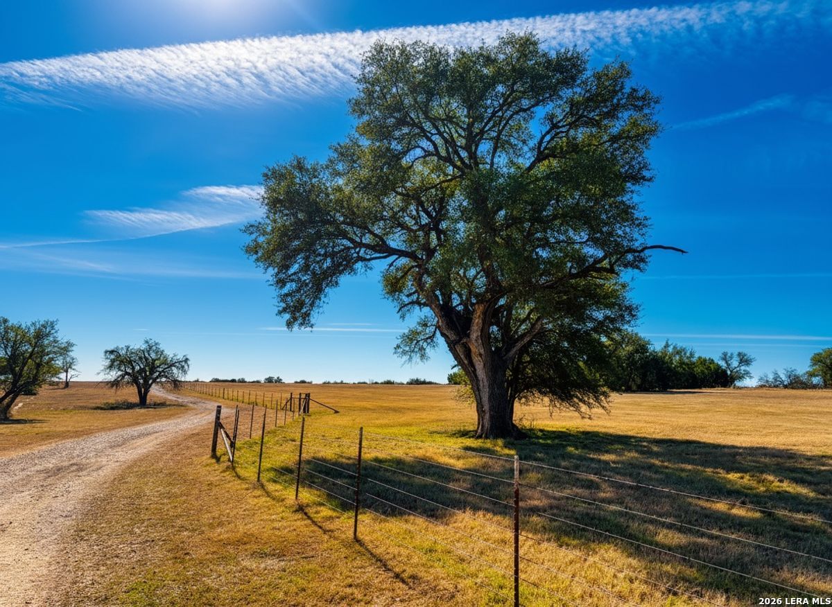 1112 County Road 139