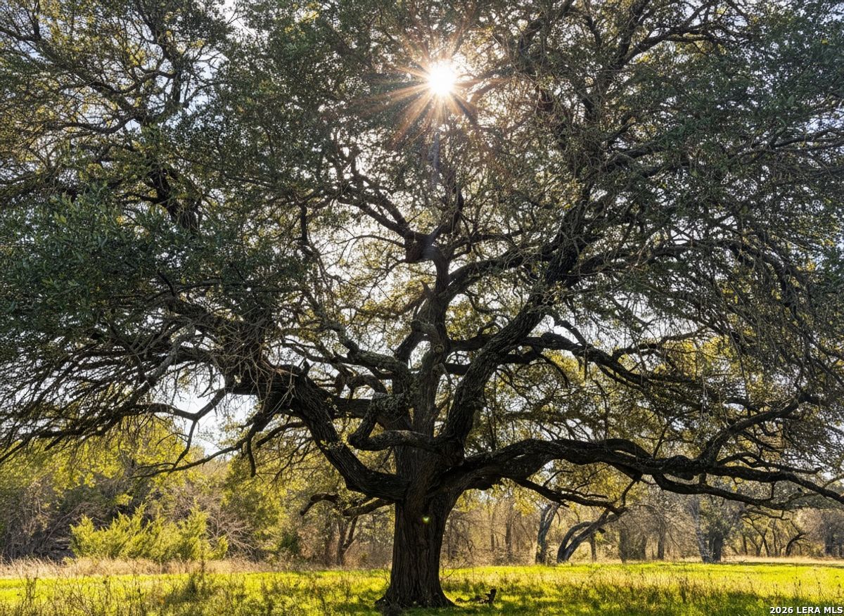 1112 County Road 139