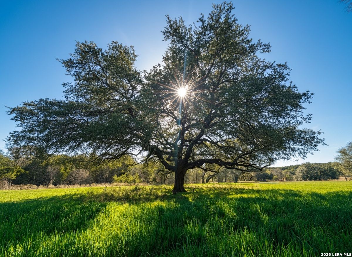 1112 County Road 139