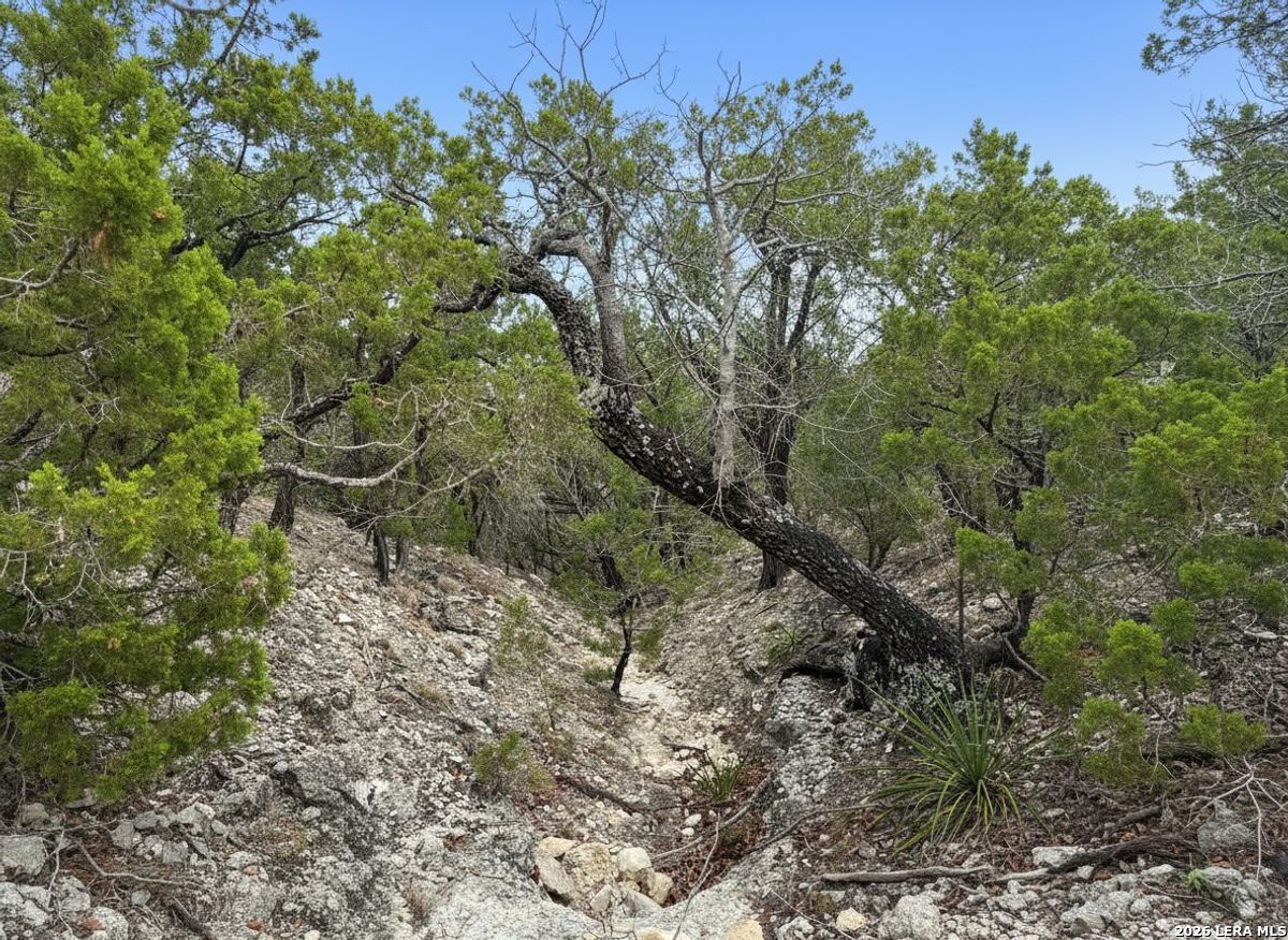 898 Mountain View Lane