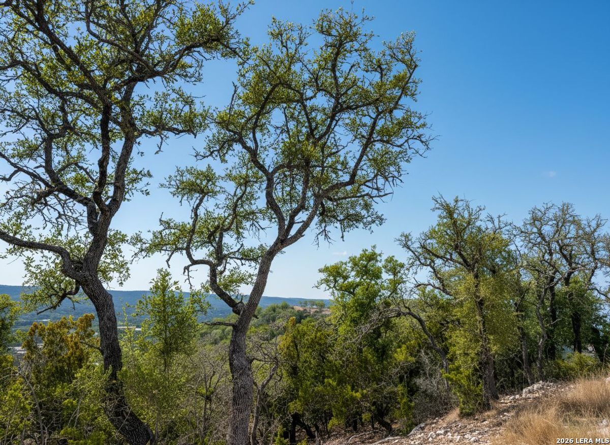 898 Mountain View Lane