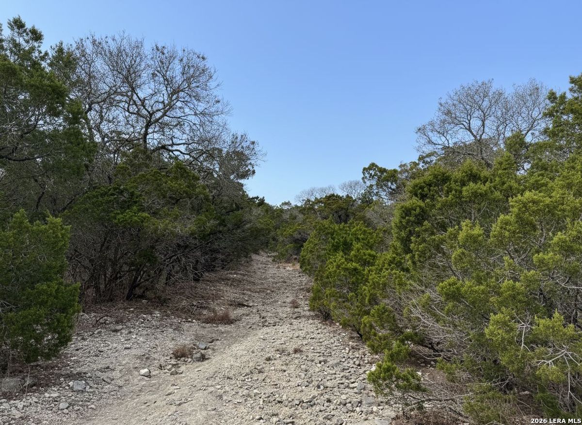 898 Mountain View Lane