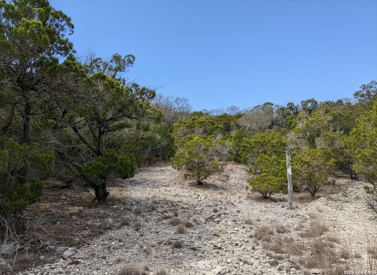 898 Mountain View Lane