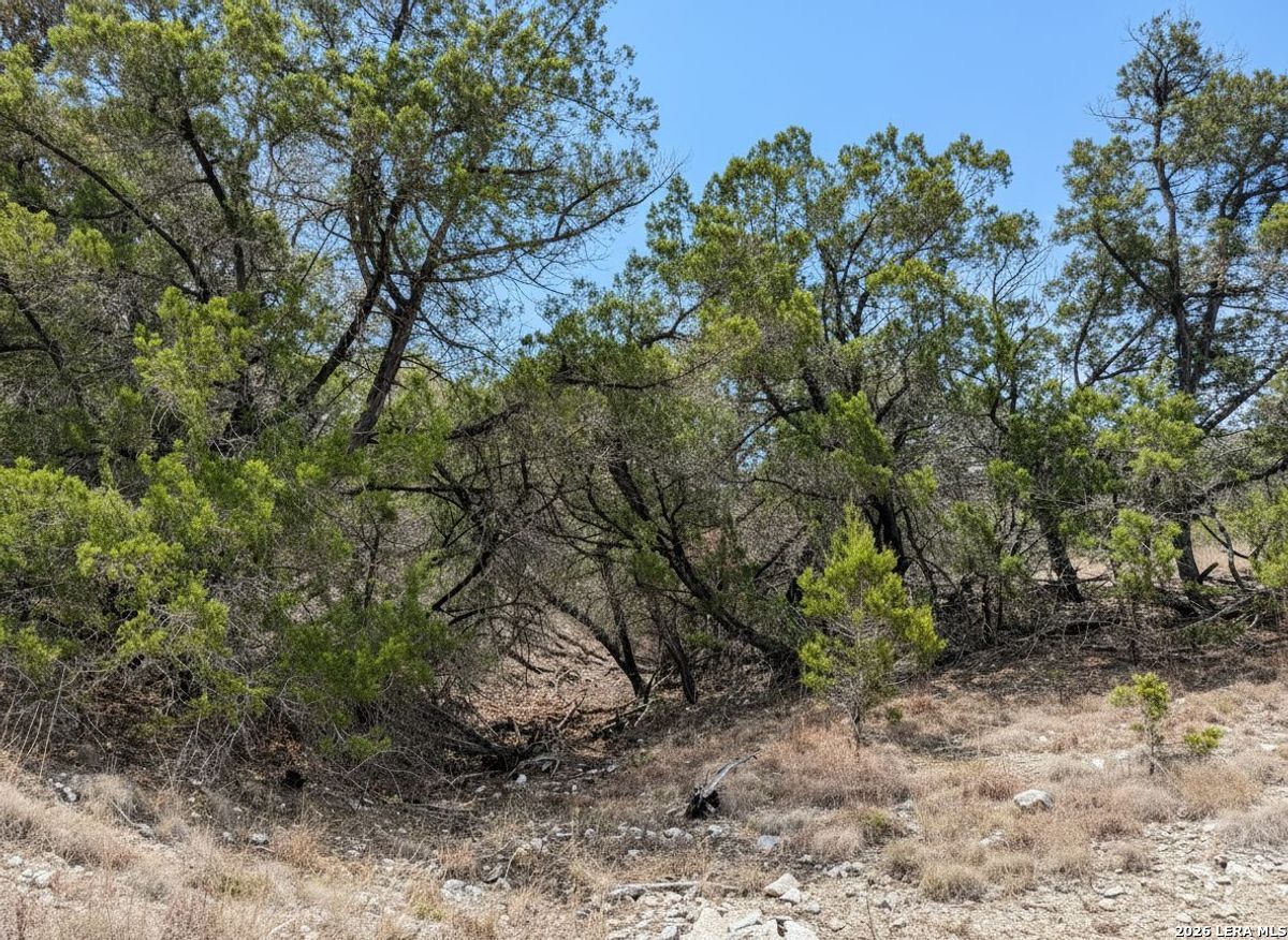 898 Mountain View Lane