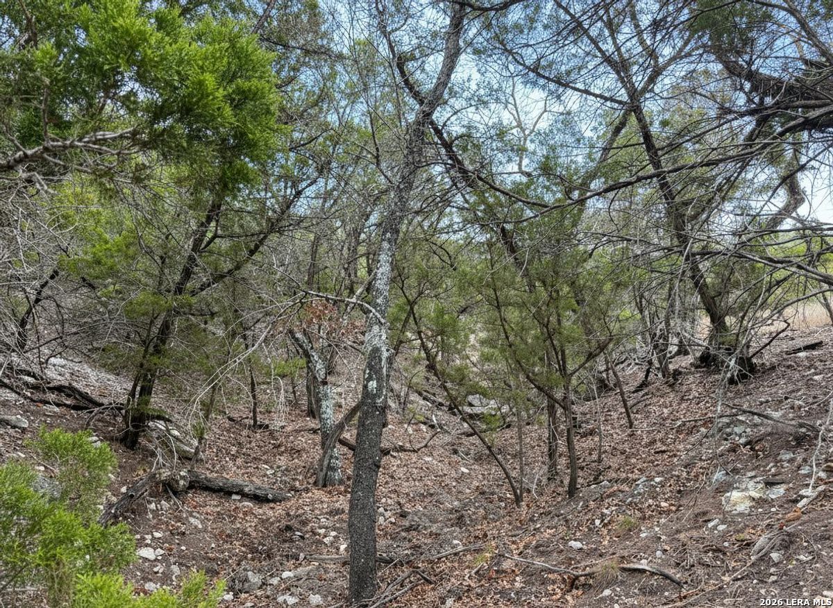 898 Mountain View Lane