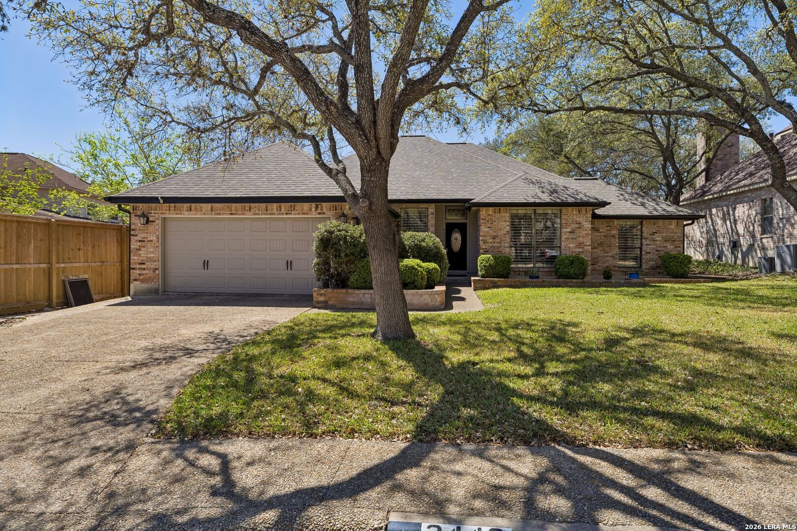 2442 Rim Oak