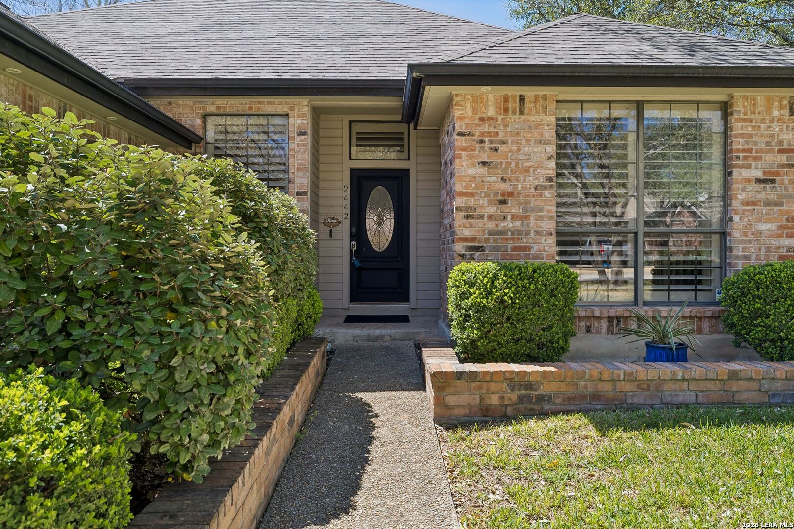 2442 Rim Oak