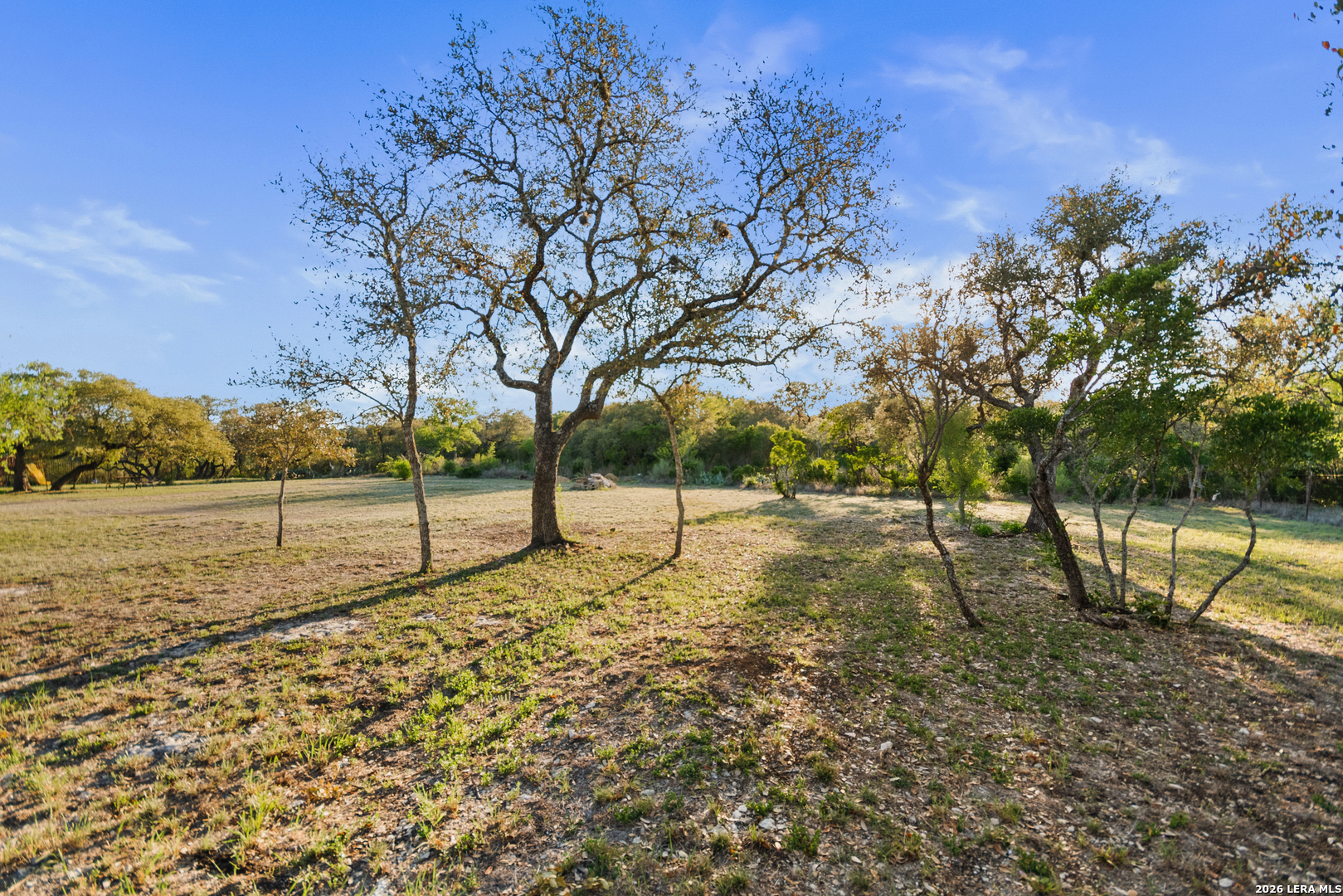 205 rolling oaks