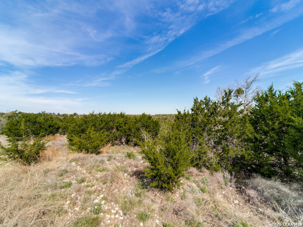 7991 Ranch Road 965