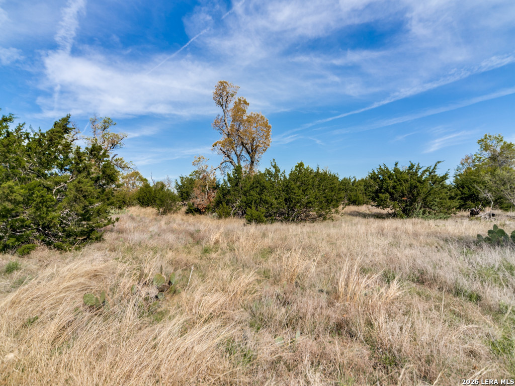 7991 Ranch Road 965