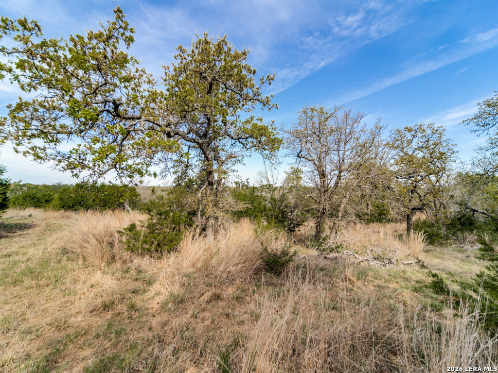 7991 Ranch Road 965