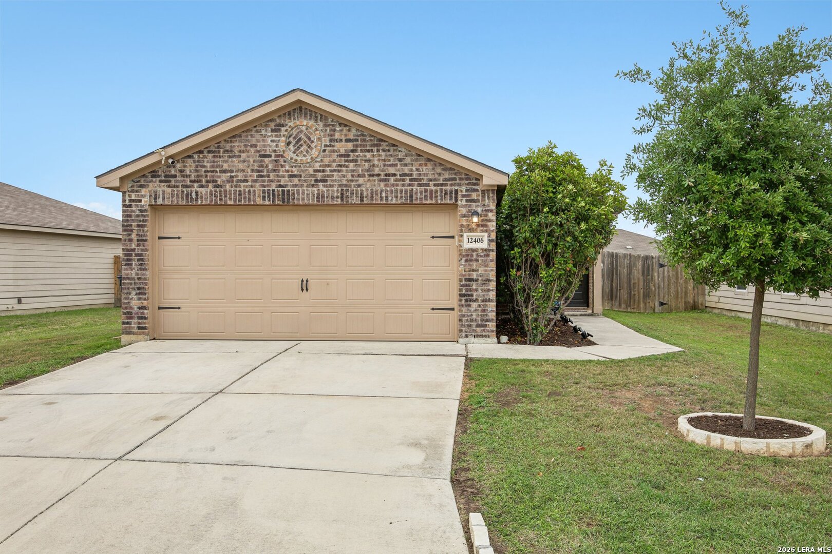 12406 Switchgrass