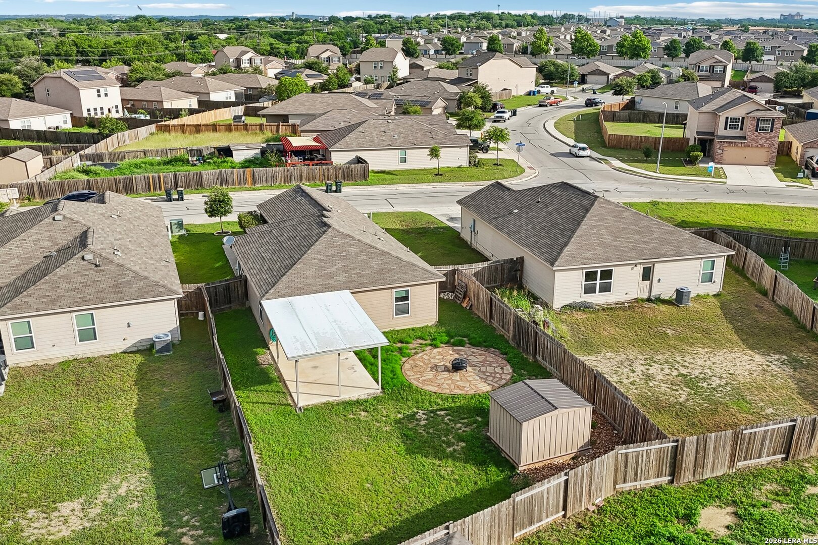 12406 Switchgrass