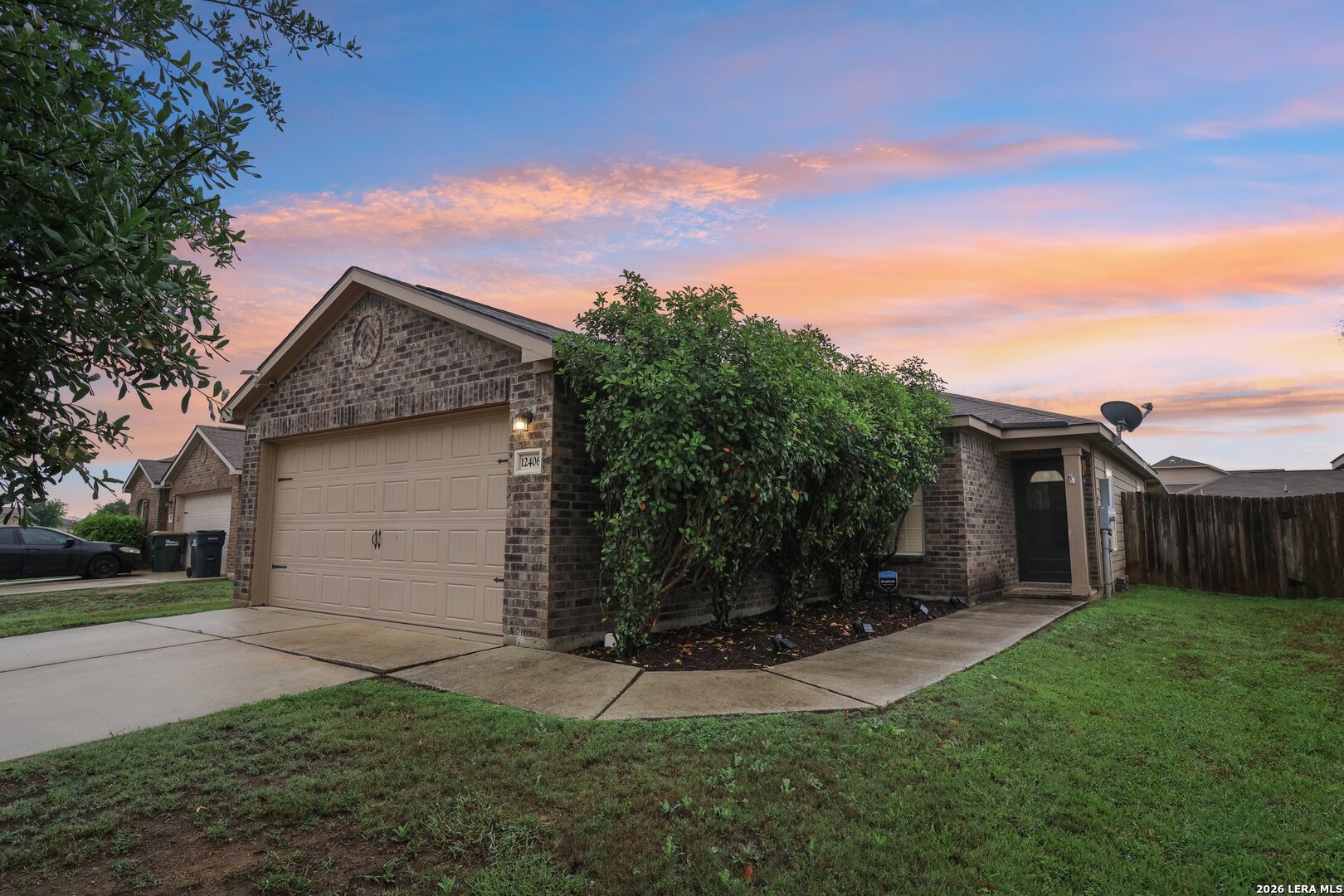 12406 Switchgrass
