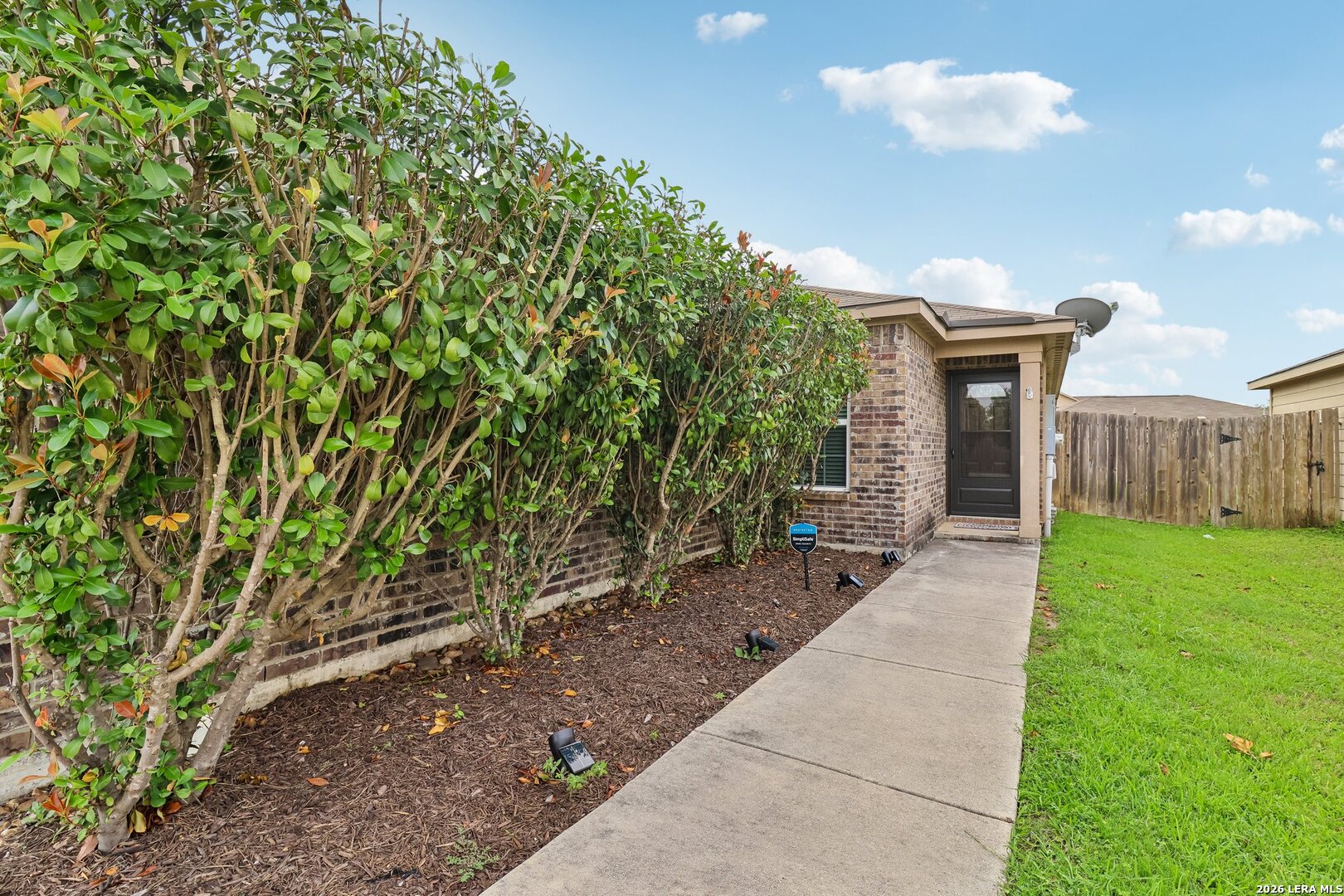 12406 Switchgrass