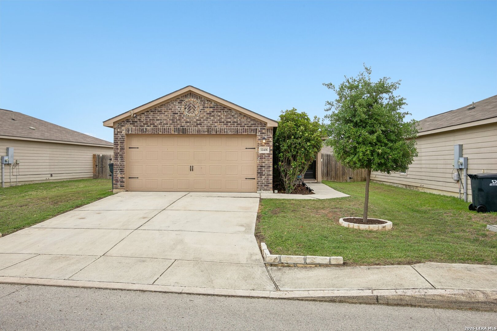 12406 Switchgrass