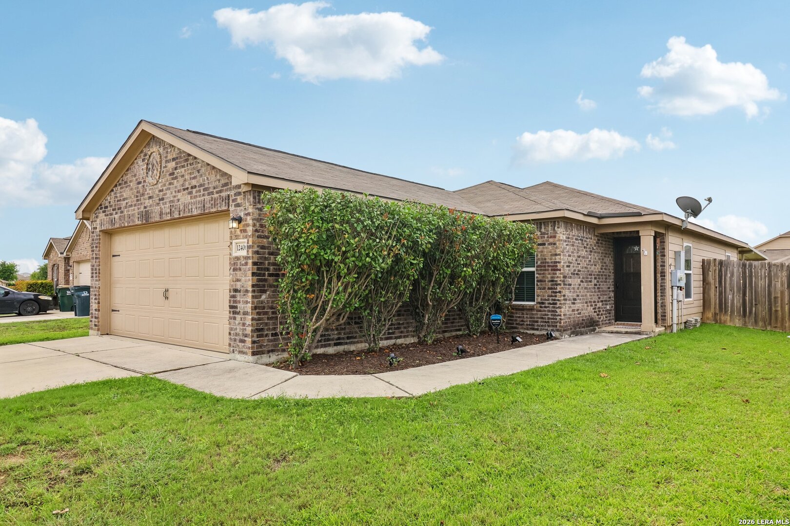 12406 Switchgrass