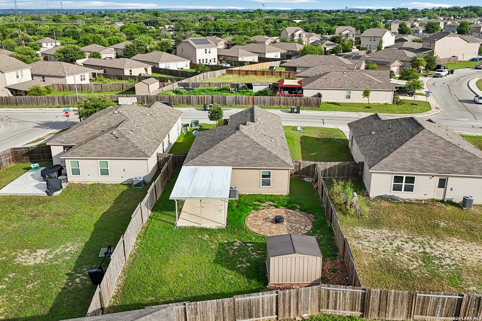 12406 Switchgrass