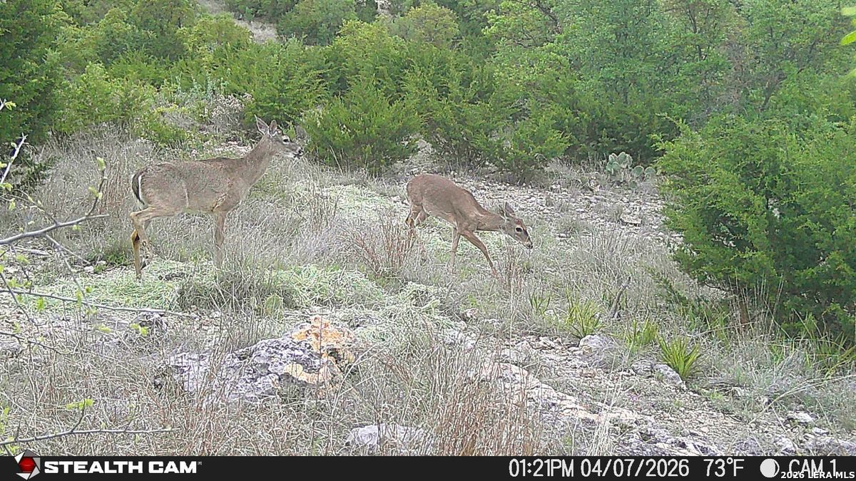 870 Rocky Top Road Soutwest