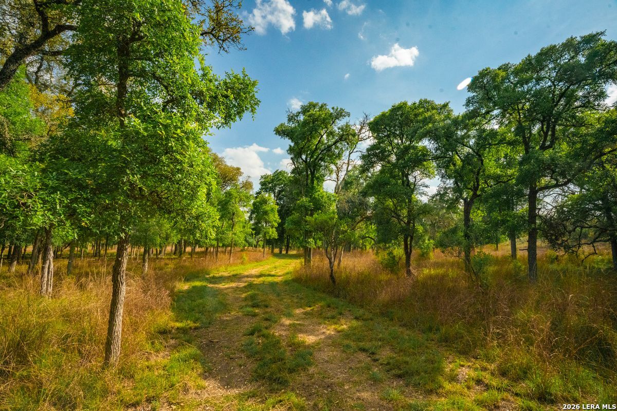 718 Ranch to Market 473
