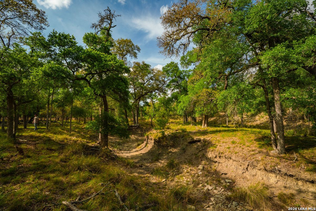 718 Ranch to Market 473