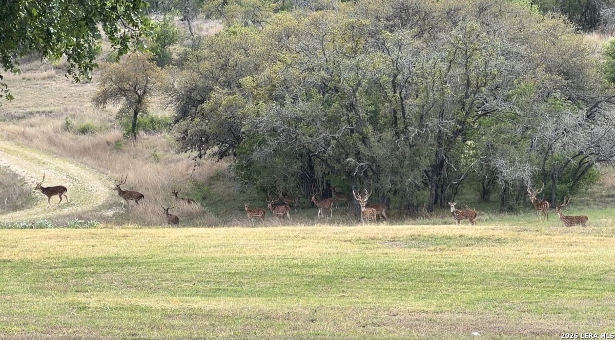 718 Ranch to Market 473