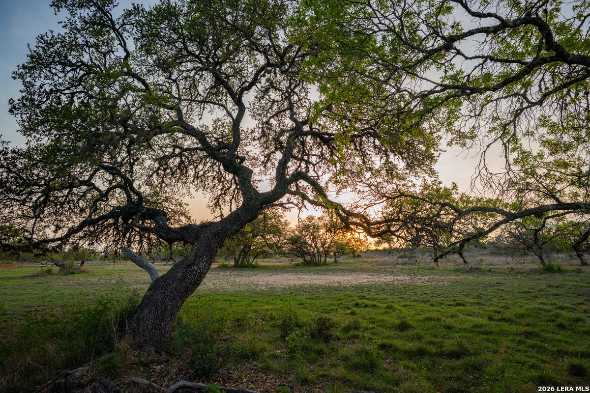718 Ranch to Market 473