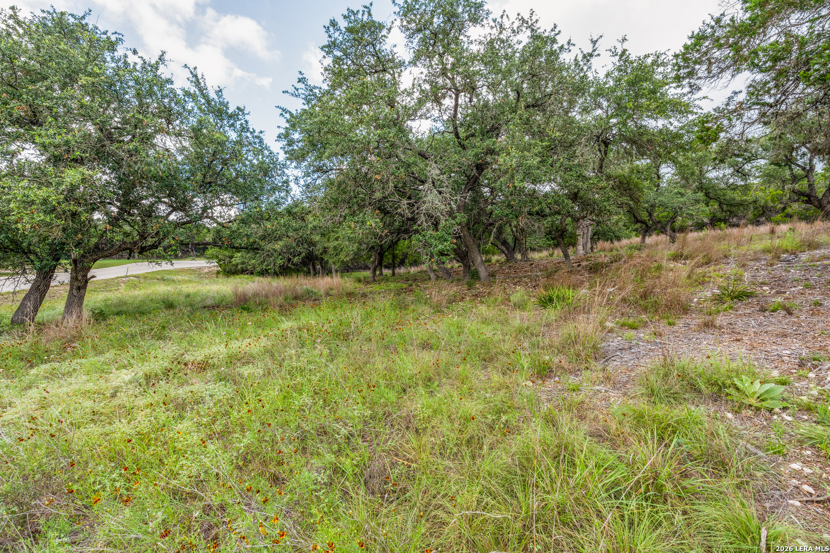 TBD Cibolo Drive