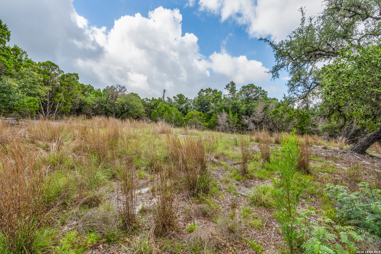 TBD Cibolo Drive