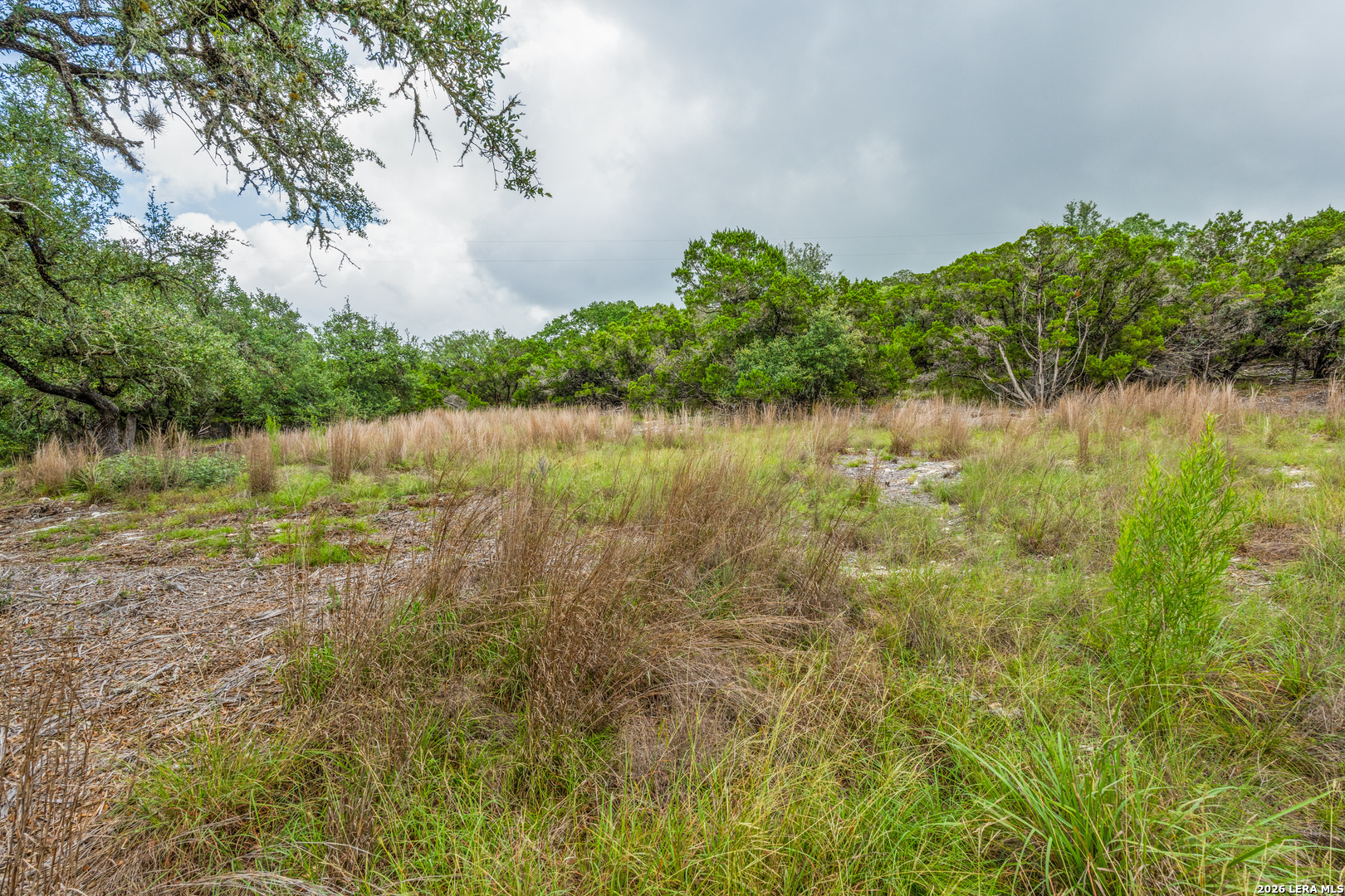 TBD Cibolo Drive