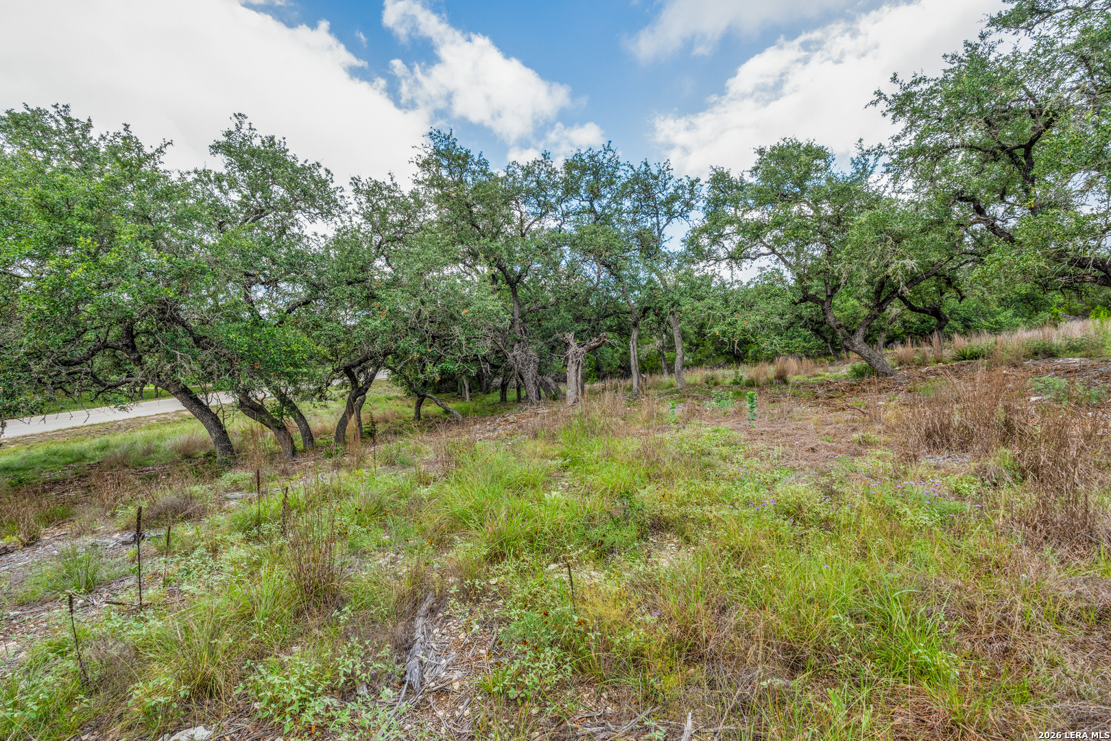 TBD Cibolo Drive