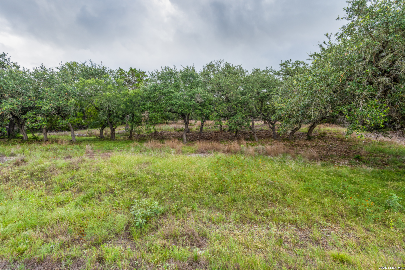 TBD Cibolo Drive